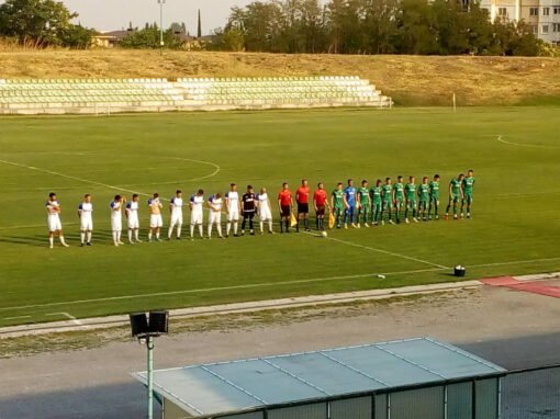 В ОБЛАСТНАТА ГРУПА