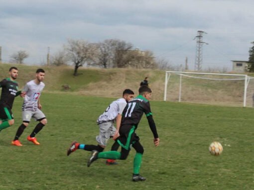 В ОБЛАСТНАТА ГРУПА