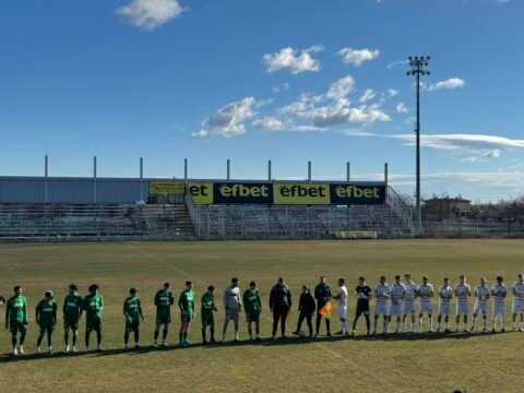 БЕРОЕ ТЕСТВА ЧУЖДЕНЕЦ