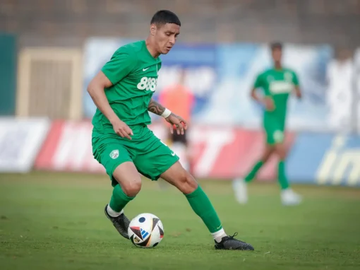 НЕМЦИ С ИНТЕРЕС КЪМ КОШМАРА