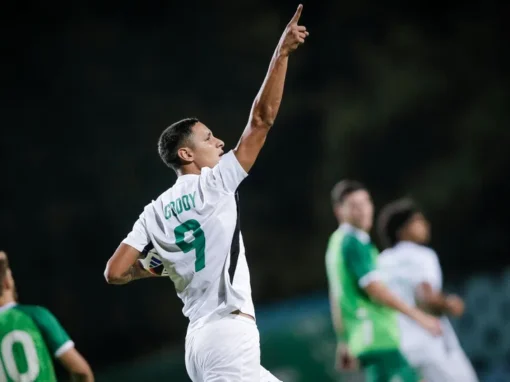 НОВ УДАР ПО БЕРОЙЦИ, ТЕ ОСТАНАХА БЕЗ ГОЛМАЙСТОРА СИ ЗА СЛЕДВАЩИТЕ ДВА МАЧА