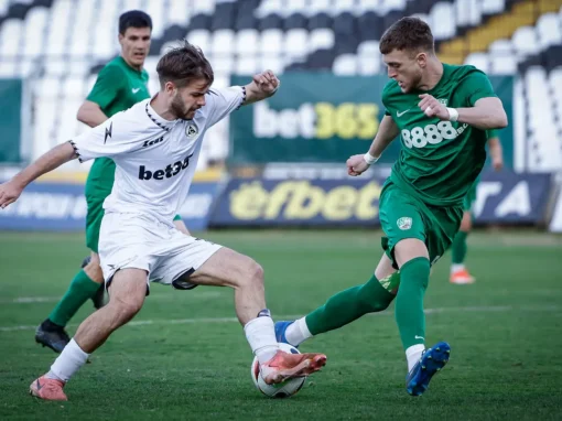 СУРОВИ НАКАЗАНИЯ ЗА ЗЕЛЕНО-БЕЛИТЕ