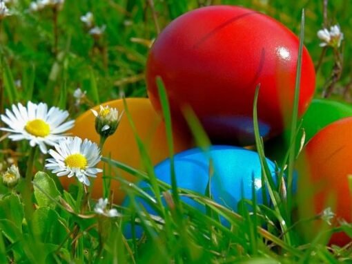 ВЕЛИКДЕНСКИ ФУТБОЛЕН ТУРНИР ЗА ДЕЦА ЩЕ СЕ ПРОВЕДЕ В СТАРА ЗАГОРА НА 17 АПРИЛ 2025 Г.