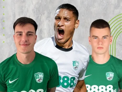 КОШМАРА СЕ СРЕЩА С ФЕНОВЕТЕ НА БЕРОЕ