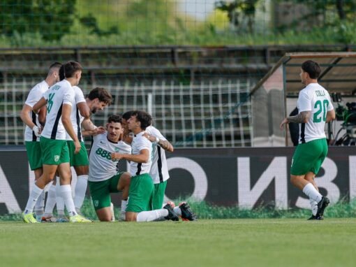 ЗЕЛЕНО-БЕЛИТЕ УРЕДИХА ОЩЕ ЕДИН СПАРИНГ