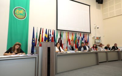 В МЕСТНИЯ ПАРЛАМЕНТ