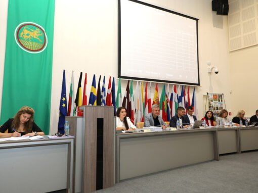 В МЕСТНИЯ ПАРЛАМЕНТ