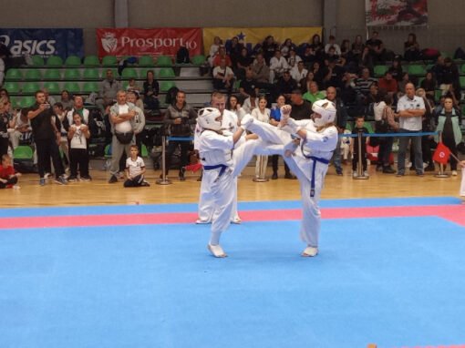 КАРАТЕКИТЕ НА АСКЕН ГРАБНАХА ПЕТ МЕДАЛА