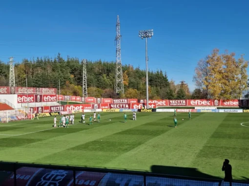 ВИТОША ШОКИРА БЕРОЕ ЗА КУПАТА