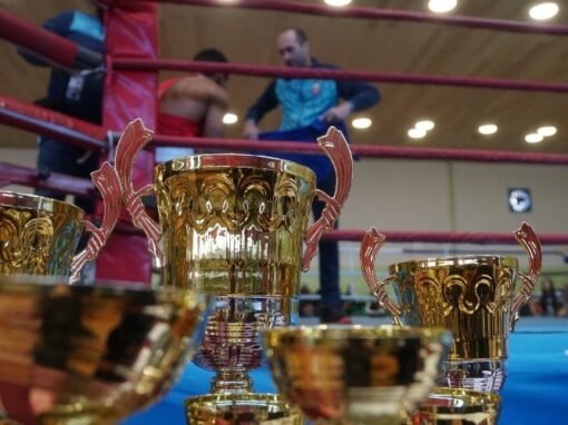 Боксьорите на „Боруй“ спечелиха два сребърни и 1 бронзов медала на шампионата в Стара Загора