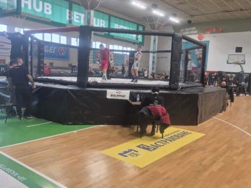 АДРЕНАЛИН И ЯКИ БИТКИ