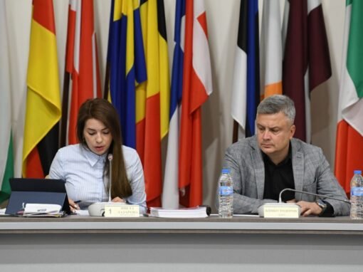 СТАРЕЙШИНИТЕ НИ ПОДКРЕПИХА ИДЕЯТА ЗА БАРЕЛЕФ НА ГЕНЕРАЛ ДЕЛЧЕВ